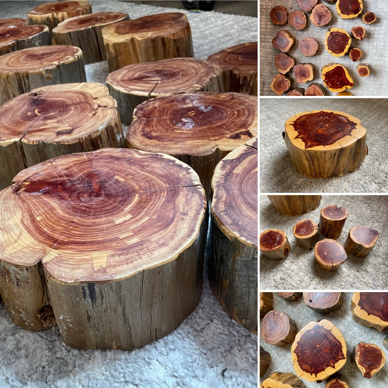Cedar log rounds in several heights alongside smaller cedar slices, all cut to show the red heartwood.